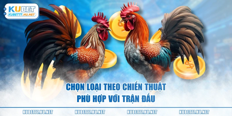 Chọn loại theo chiến thuật phù hợp với trận đấu