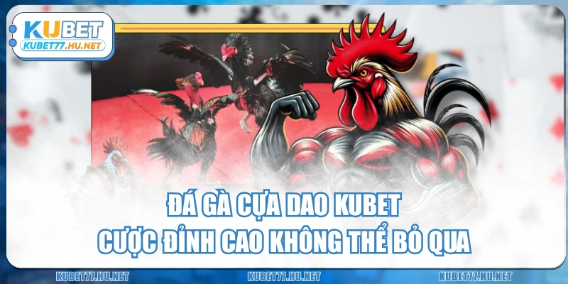 Đá Gà Cựa Dao KUBET - Cược Đỉnh Cao Không Thể Bỏ Qua