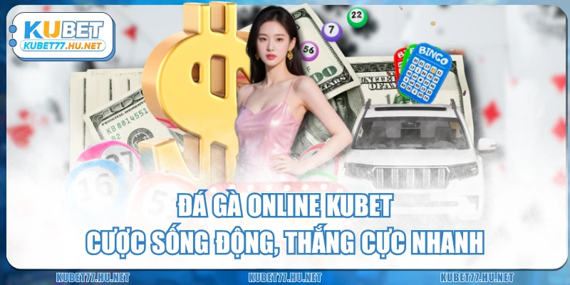 Đá Gà Online KUBET – Cược Sống Động, Thắng Cực Nhanh