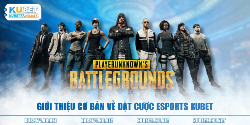 Giới thiệu cơ bản về đặt cược Esports KUBET