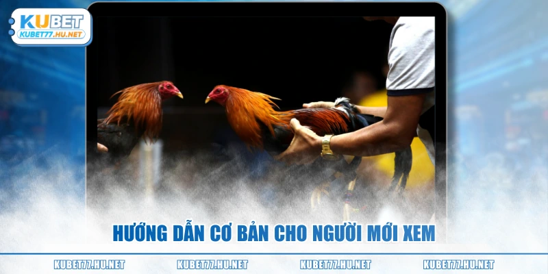 Hướng dẫn cơ bản cho người mới xem