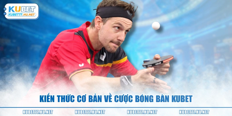 Kiến thức cơ bản về cược bóng bàn KUBET